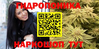 гидра Можайск