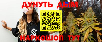 гидра Можайск