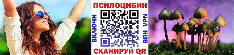 Псилоцибиновые грибы Cubensis Черкесск