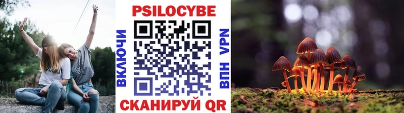 что такое   Черкесск  Псилоцибиновые грибы ЛСД 