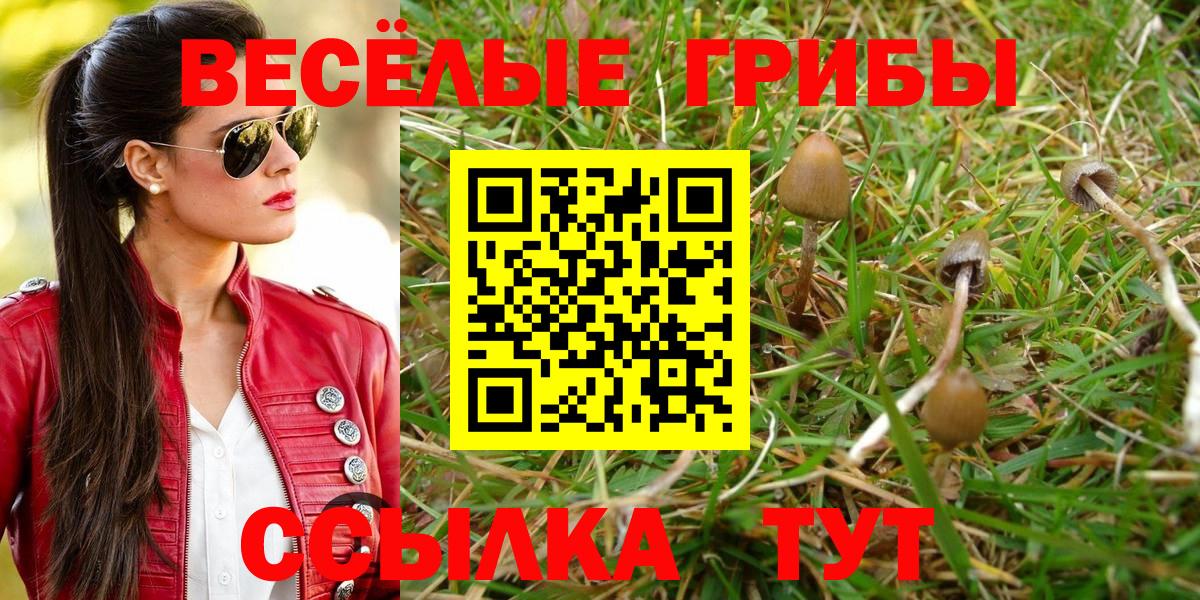 Галлюциногенные грибы прущие грибы Черкесск